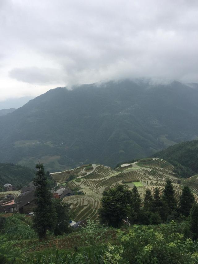 天门可逆锤式破碎机