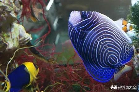 一缸多过滤机