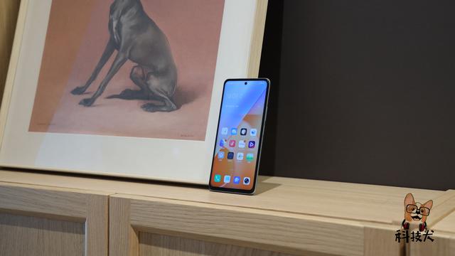 「科技犬」双11值得买直屏手机盘点：荣耀真我红米OV，六款可选