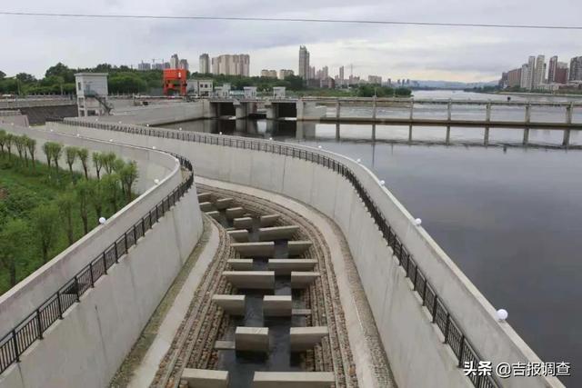 吉林市豐滿重建工程兩級魚道正式實現聯合過魚 中斷80年之久的松花江流域魚類洄遊通道打通啦 Kks資訊網