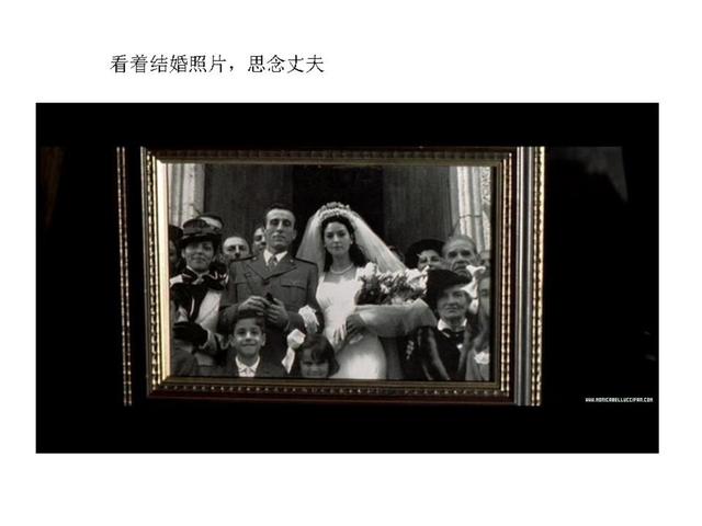 电影可可西里的美丽传说（外国影片剪影西西里的美丽传说）(9)