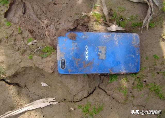河北献县村民在玉米地发现男尸，警方：尸体已白骨化，线索征集中