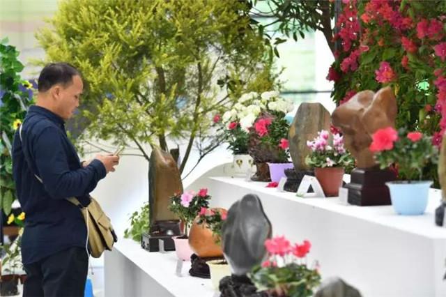 2019年广西南宁木工机械展