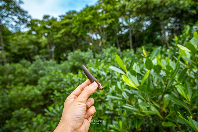 湖南水果酒过滤机定制