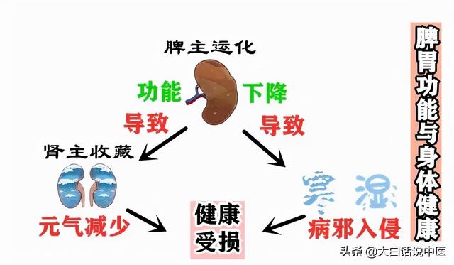 大白话说中医第83期｜失眠久了伤身体，健脾养胃补心气