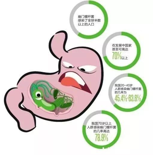 男人查出球杆菌什么意思