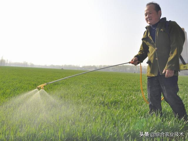 小麦拌种剂用什么药好效果好