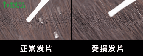 洗发水品牌