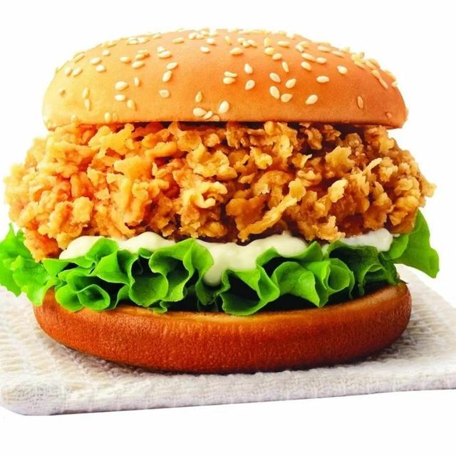 炸鸡腿汉堡包加盟创业好项目(做汉堡包的 *** ) | 伯乐创业网