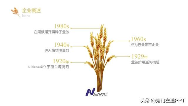 不会做策划案PPT?看看大神如何一步步做的!附源文件!