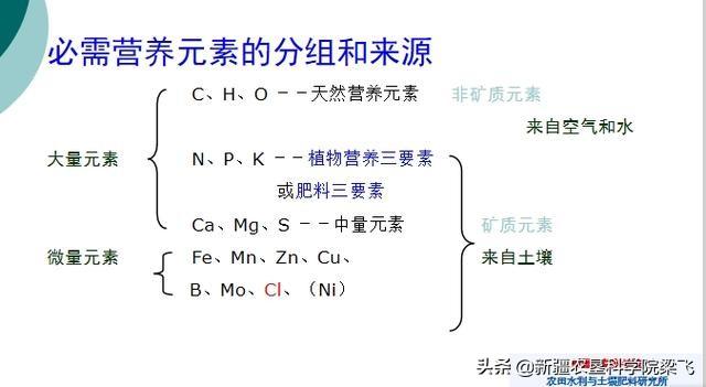 秋施肥与盐碱地改良时，钙镁硫3种元素肥料的重要性及合理施用1