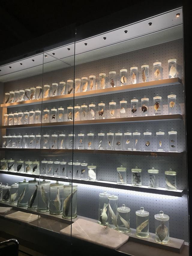 展陈工程施工进度计划