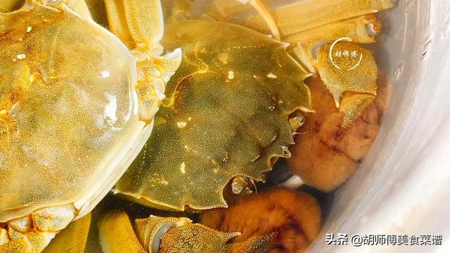 河蟹如何保存放冰箱，河蟹能放冷冻保存吗