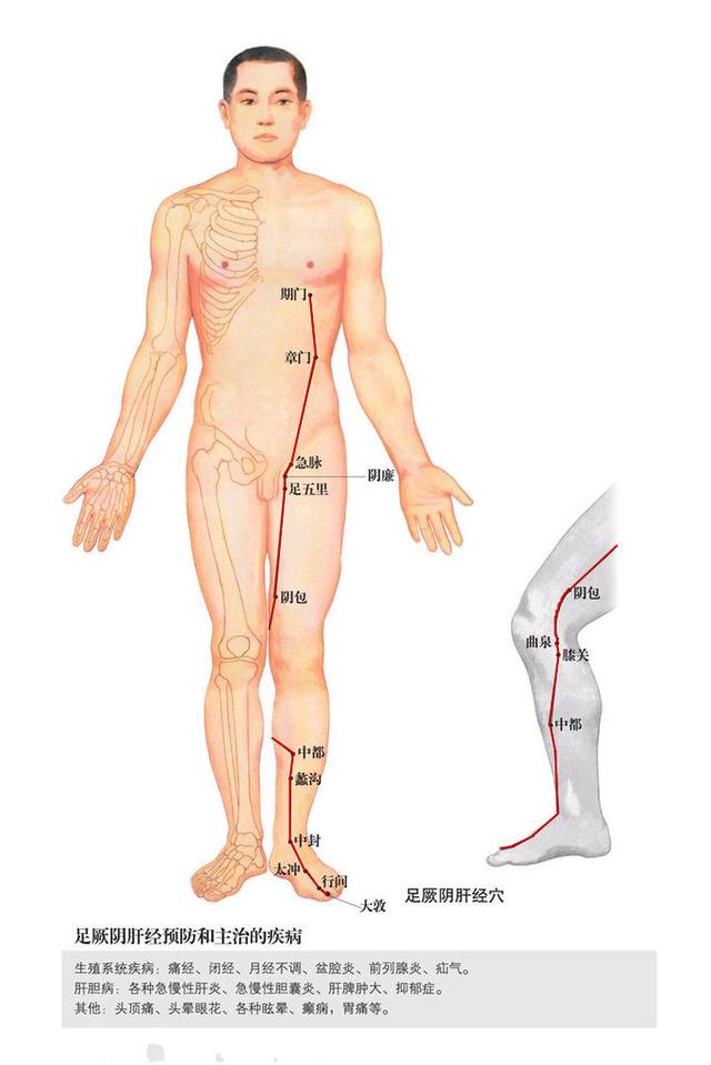 早晚两个小动作，疏肝血、养肝气
