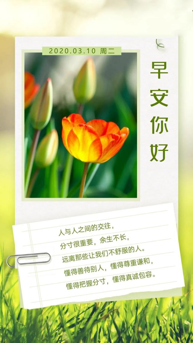 周二正能量励志早安心语图片日签带字：愿你心底有光，身带锋芒