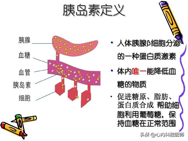 谷维素和维生素B12如何吃？医生详细解答，不妨来了解一下