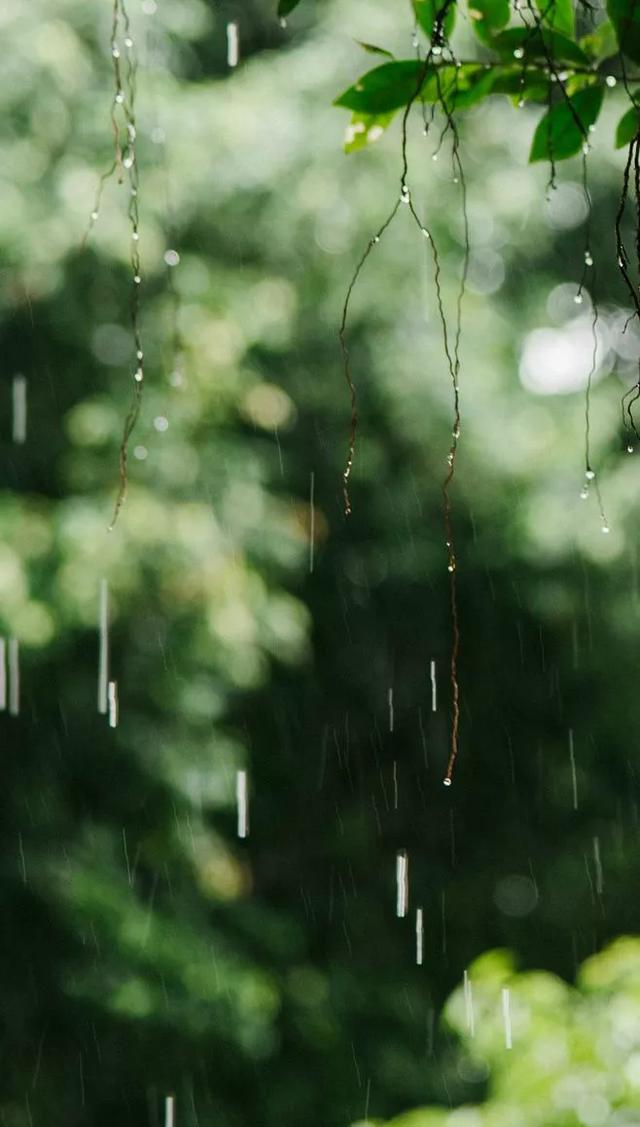 雨水节气黑板报内容摘选