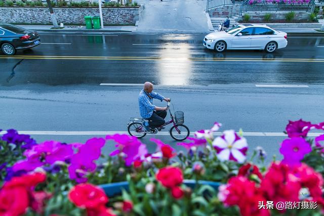 全国绿化模范城市