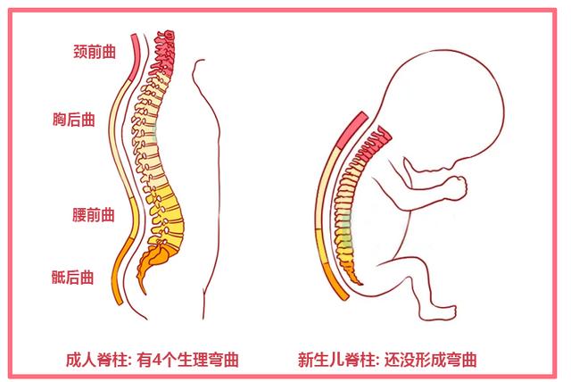 新生儿要捆腿吗？这些“传统讲究”都是误区，真别盲目相信会坑娃