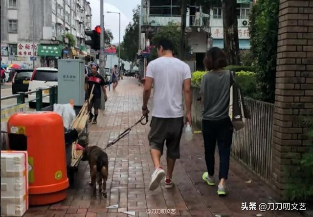 展博工程师出身