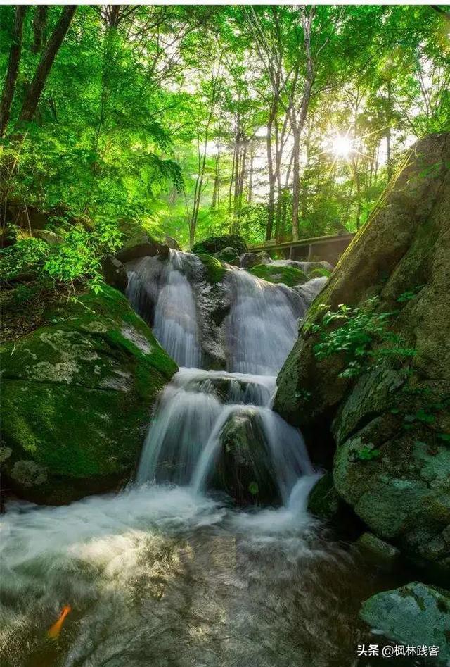 這個七夕唯愛永恒，到遼寧楓林谷山林間感受山河浪漫