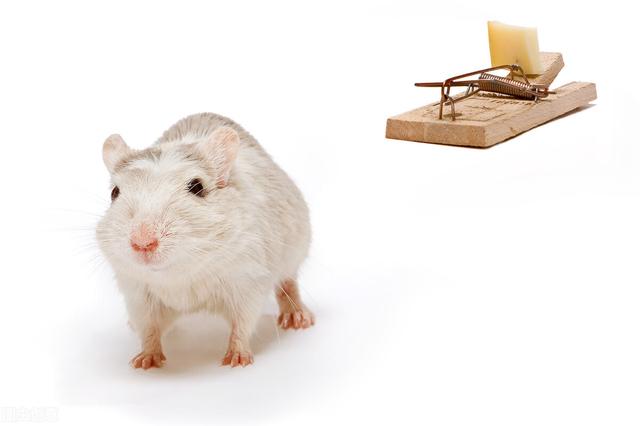 为什么说一日三餐？什么时候吃非常重要