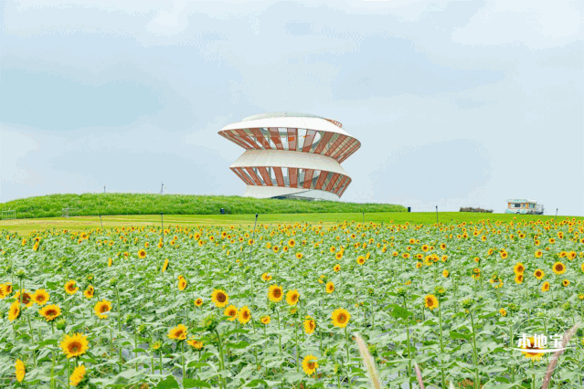 深圳机械展可以带小孩