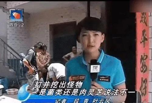 女记者太岁事件什么梗？（起底女记者太岁梗详情）