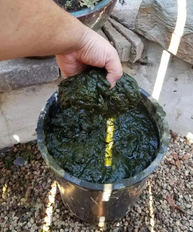 过滤机喷嘴