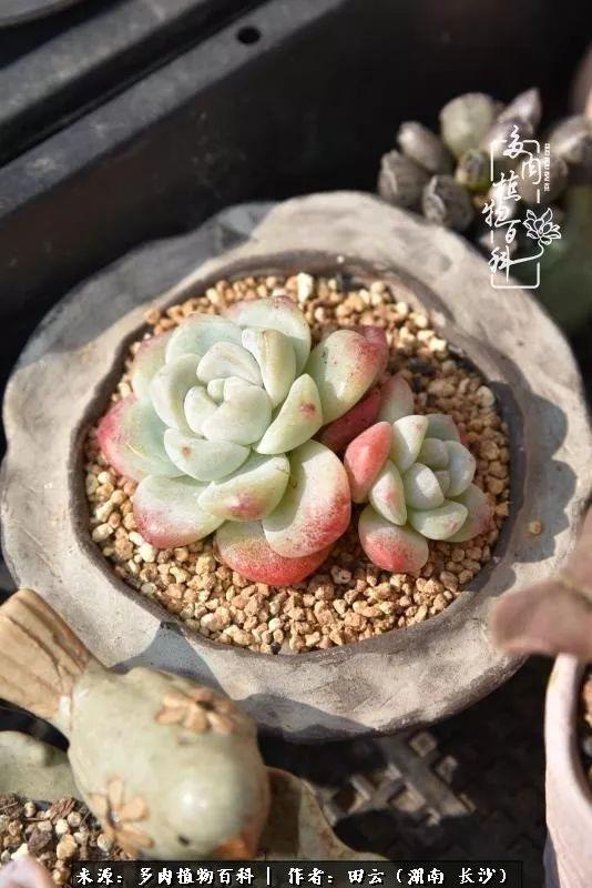 影片剧照