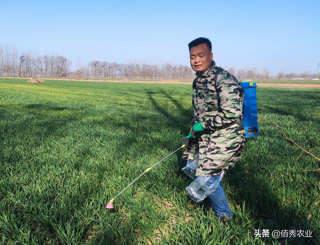 传统“王牌”杀菌剂多菌灵，怎样混配效果显著，使用时要注意什么4