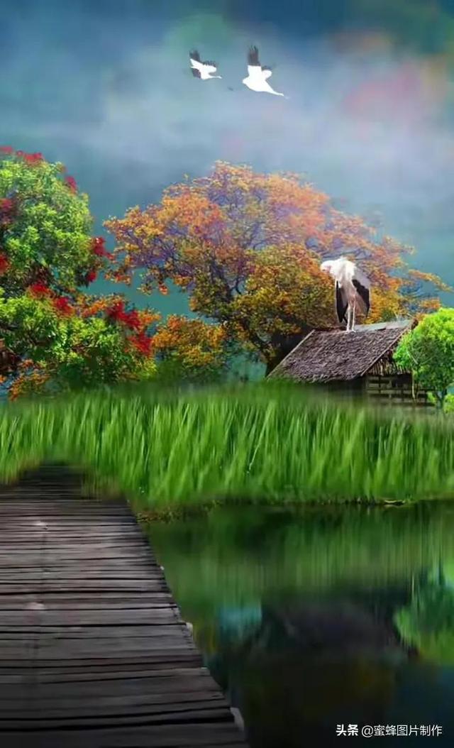 美好的东西分享给大家，特别是第十一张