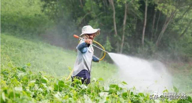 国际专家警示：农药特丁磷与异菌脲，其毒性致癌并危害生殖系统