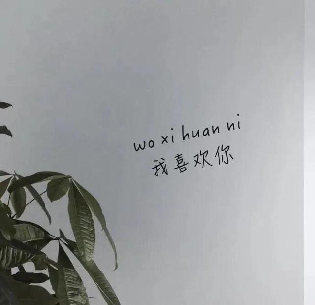 文案：可世界都爱热热闹闹，容不下我百无聊赖