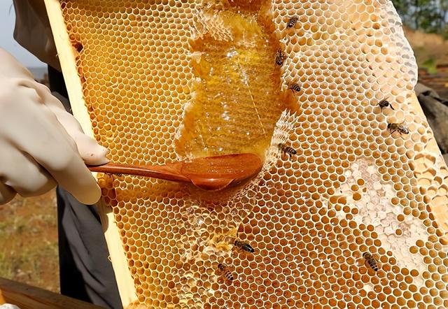 蜂蜜品牌有哪些，国内出口蜂蜜品牌哪个好