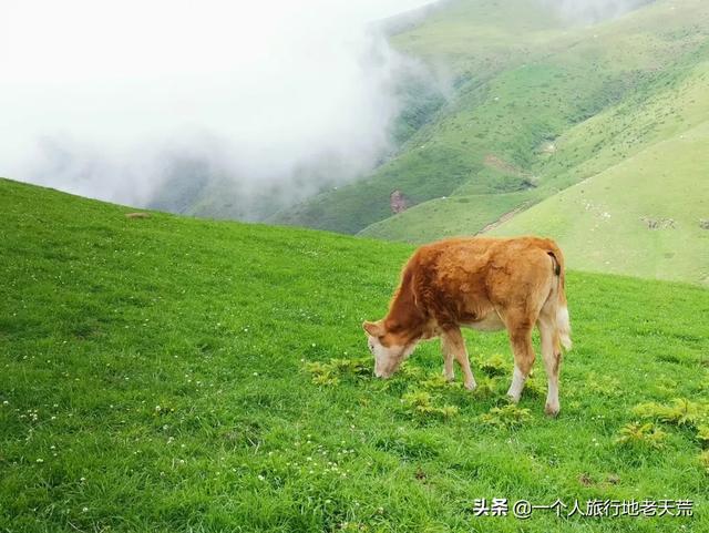 曲靖玄武岩制砂机