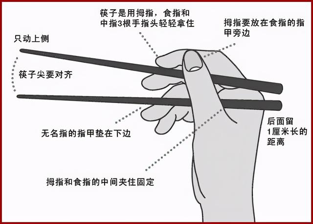 一次性筷子多长（一般一次性筷子多长）