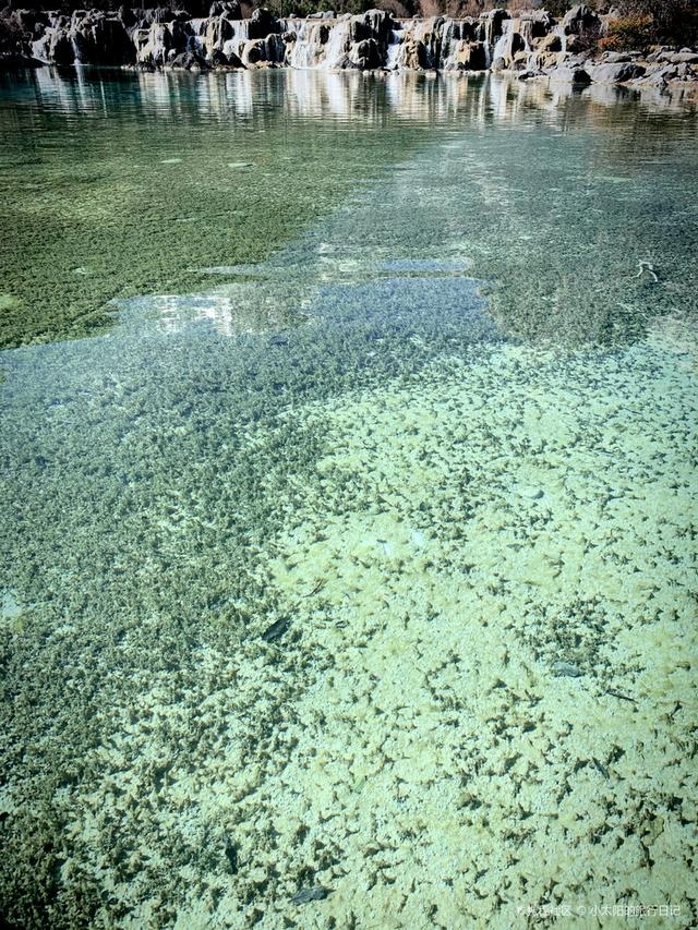 玉龙雪山海拔