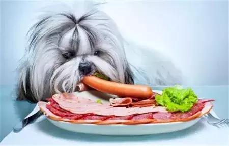 玉米面狗食做法大全(自制玉米面狗食需要加盐吗)-艾拉狗场