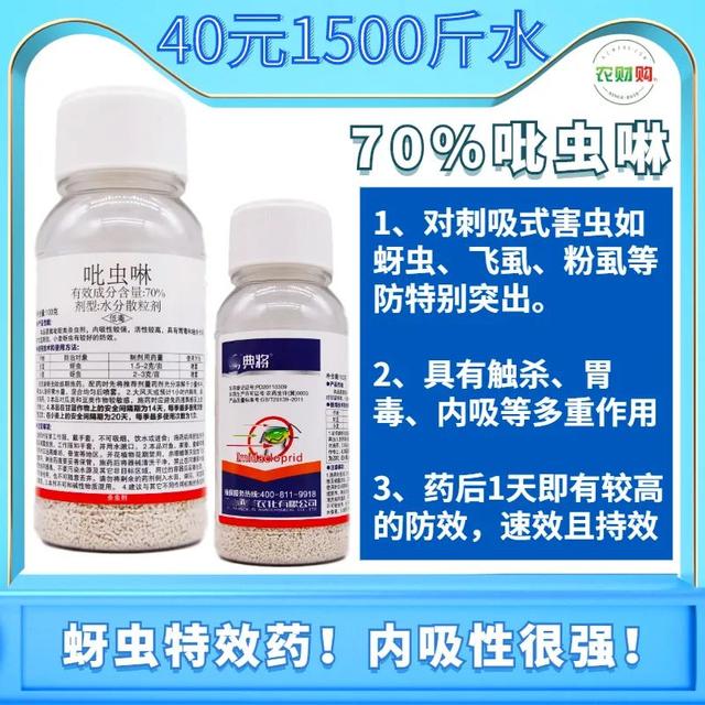 控制木虱→虫卵通杀！不同药有不同表现，防治木虱主要分3方面5