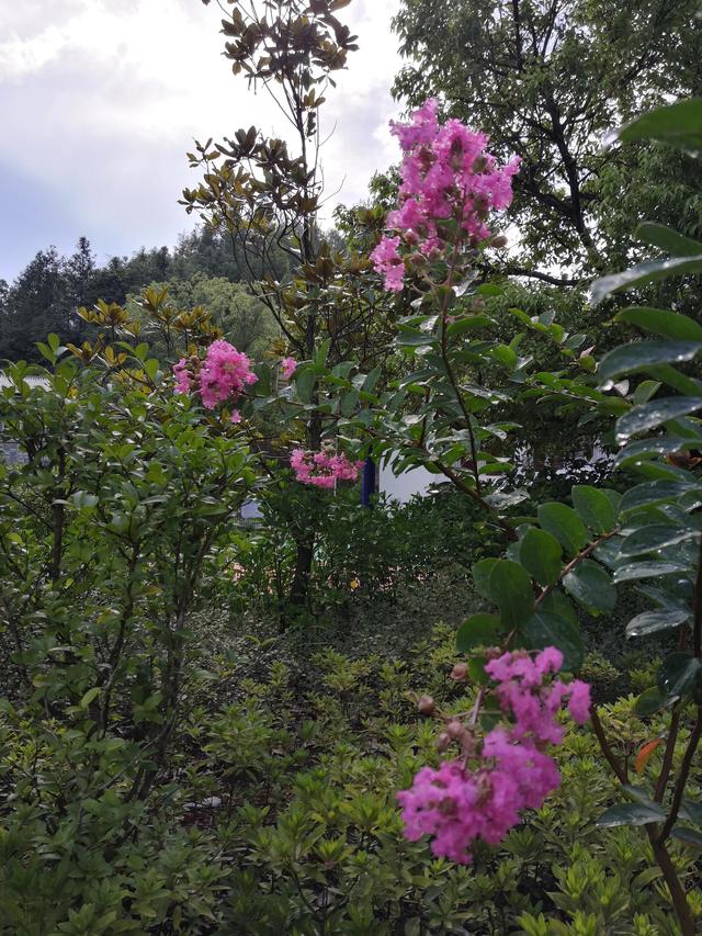 时光匆匆，秋意浓浓
