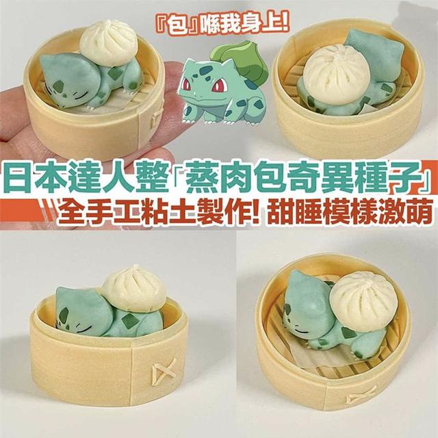 黏土做成的妙蛙种子 可以像蒸肉包一样可爱逼真 还可以很搞笑 Zh中文网