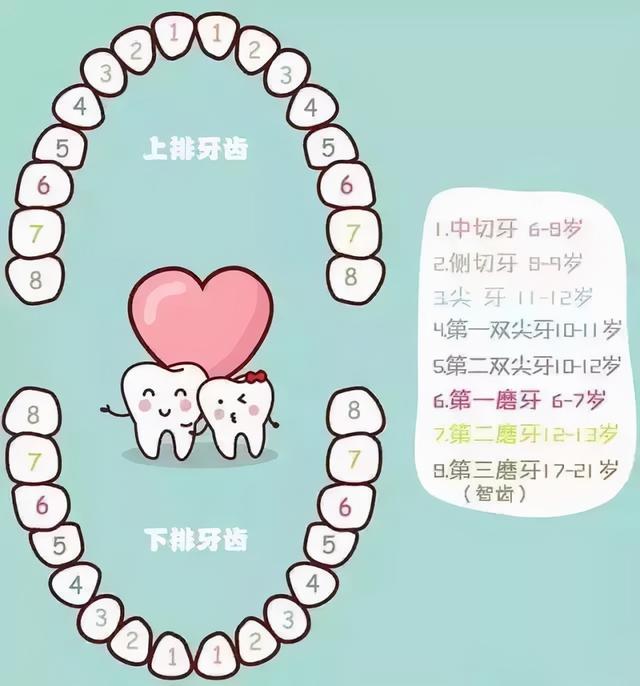 最全儿童换牙时间表！爸妈一定要知道（建议收藏）