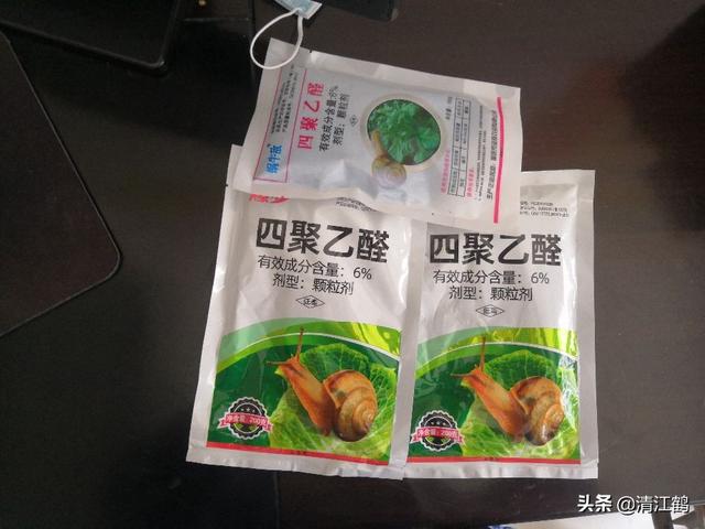 蜗牛残食蔬菜叶非常厉害：颗粒剂3