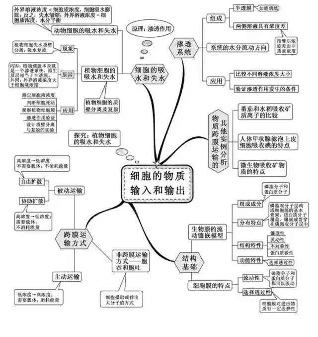 超级全能生2020高考浙江省4月联考各科试题及答案汇编