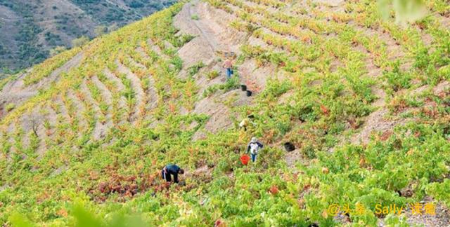 六九破碎机底座螺杆尺寸