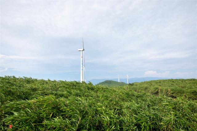 武隆旅游攻略住宿（重庆武隆这个景区）(8)