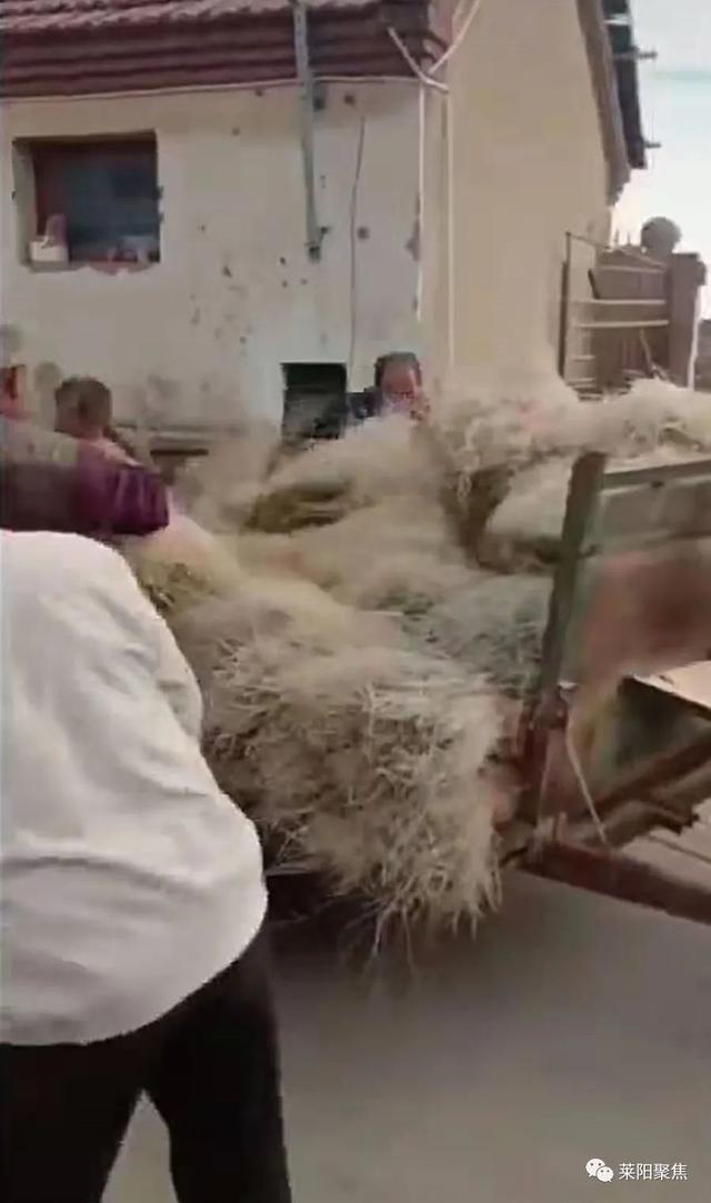 莱阳破碎机厂家图片