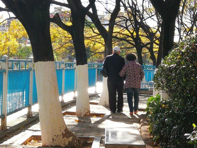 年龄偏大的人易患高血压，这3种运动别做，这2种运动很适合