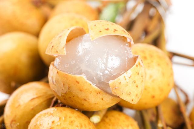 抗衰老的中药（二十八）